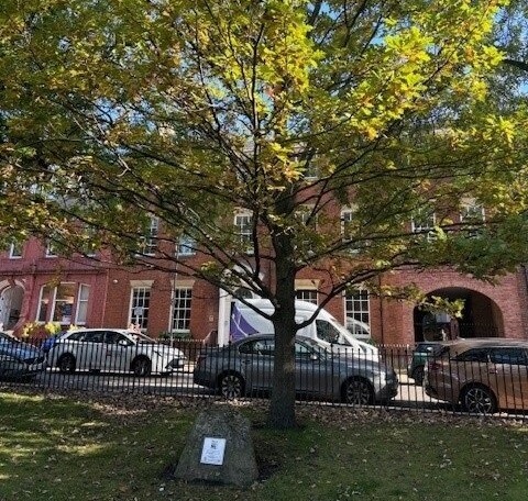Memorial Tree